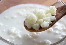 Cómo preparar Yogurt de Pajaritos o Kéfir