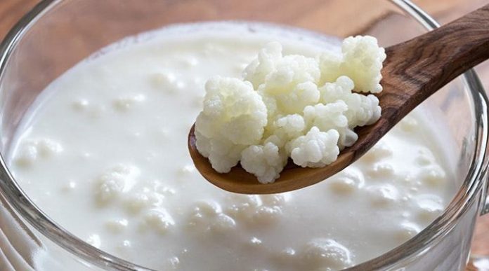 yogur-pajaritos-grez